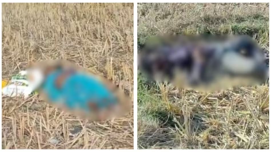 Wछत्तीसगढ़ में अब आजतक के पत्रकार के पूरे परिवार की हत्या, जमीन विवाद में माता-पिता और भाई को कुल्हाड़ी से काटा