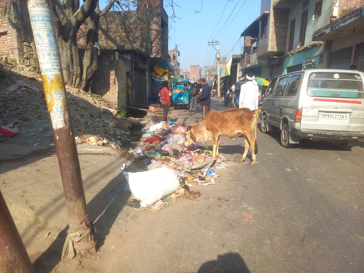 Wकब तक कचरे के ढेर में आहार तलाशेंगे गौवंश, जिम्मेदार चट कर जाते हैं बजट