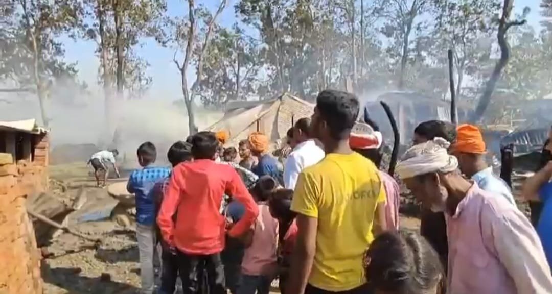 Wआग का तांडव: पशु बाड़े में भीषण आग, एक मवेशी की मौत