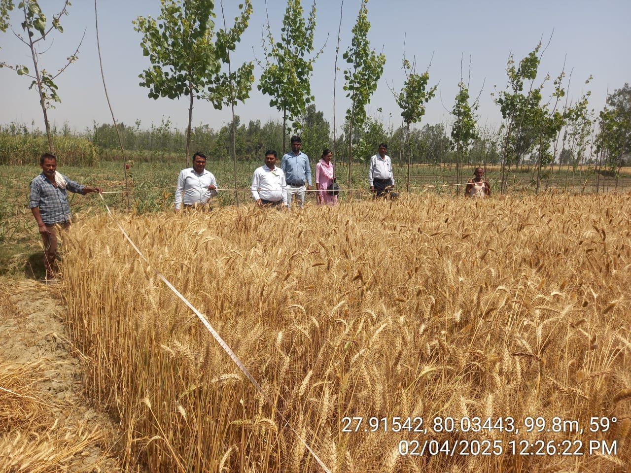 Wगेहूं खरीद केंद्रों पर सुरक्षित भंडारण के निर्देश, मुख्यमंत्री ने कहा- किसानों को हर हाल में राहत मिले