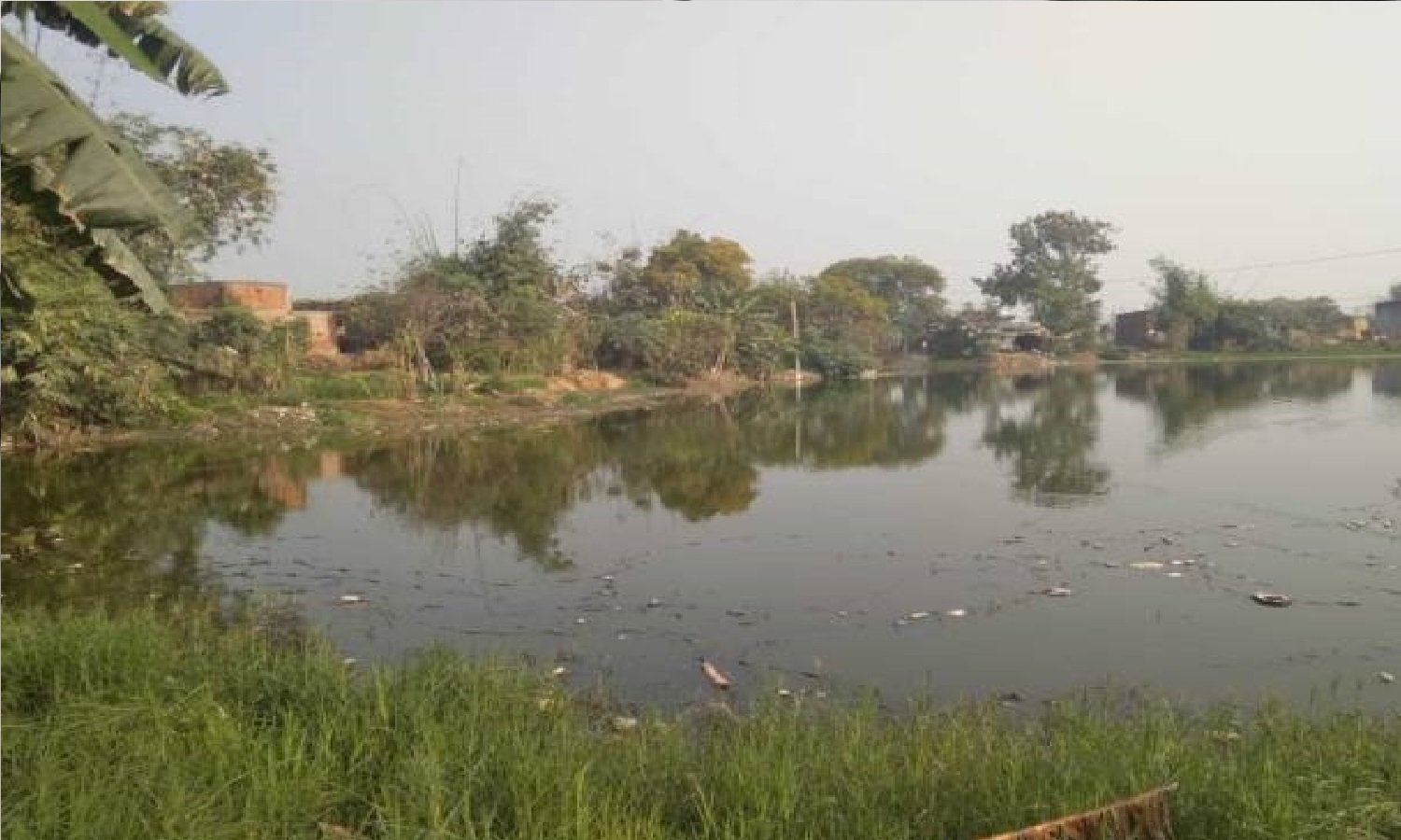 Wकब्जा कर बनाए गए घर सरकारी तालाब पर, सपा नेता ने किया विरोध