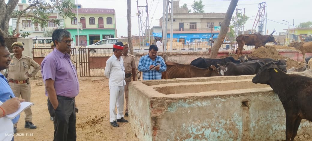 Wगौशालाओं की दुर्दशा पर DM ने जताई नाराजगी, अब होगी कार्रवाई