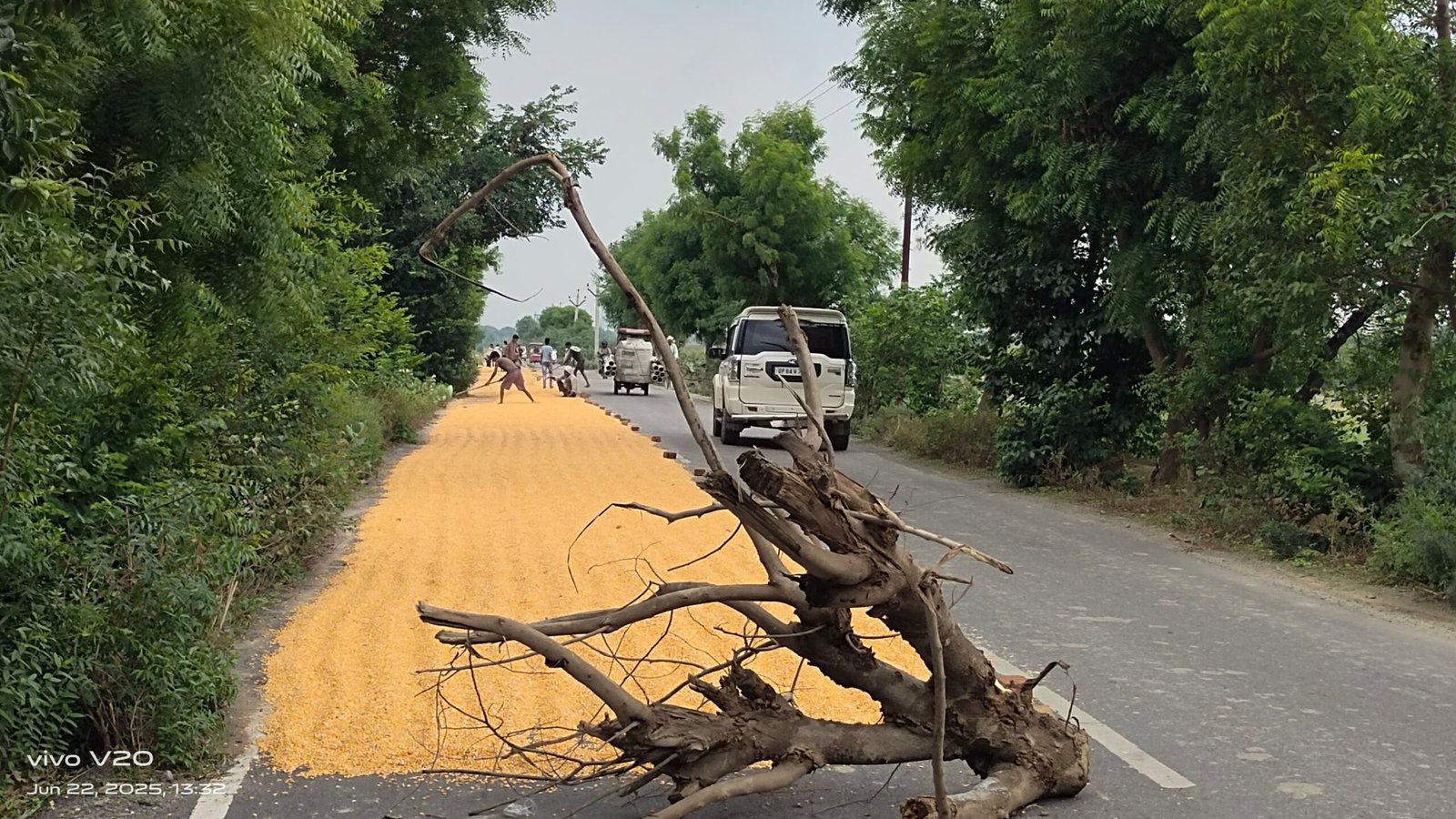Wछिबरामऊ-नबाबगंज मार्ग पर मक्का सुखाने को लेकर किसानों का कब्जा, यातायात प्रभावित, प्रशासन मौन