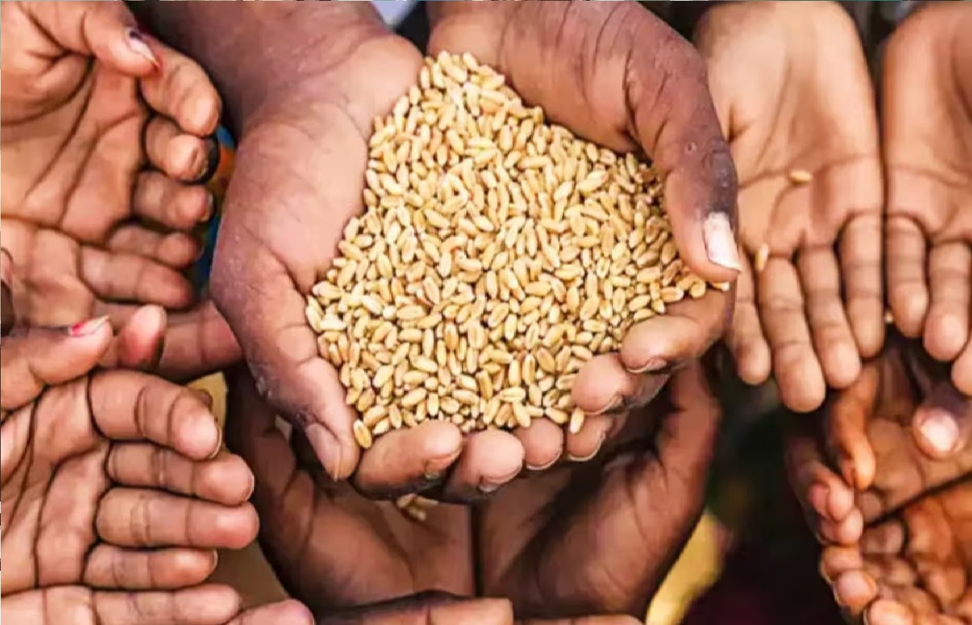 Wराशन कार्ड सत्यापन में कोटेदारों की मिलीभगत उजागर, अपात्रों के नाम पर वर्षों से चल रहा था राशन घोटाला