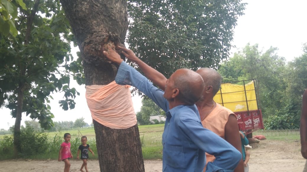 Wनीम के पेड़ पर शिव पार्वती की आकृति देख लोगों ने शुरू की पूजा अर्चना