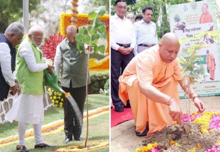 वृक्षारोपण के नाम पर हर साल करोड़ों की बर्बादी, न पौधे बचे, न जवाबदेही