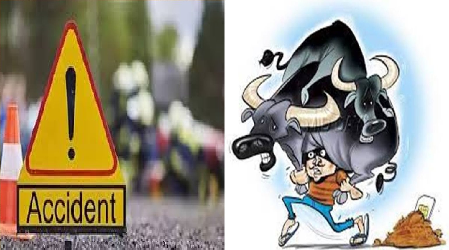 Wसड़क हादसा और भैंस चोरी की दो घटनाएं, एक गंभीर रूप से घायल