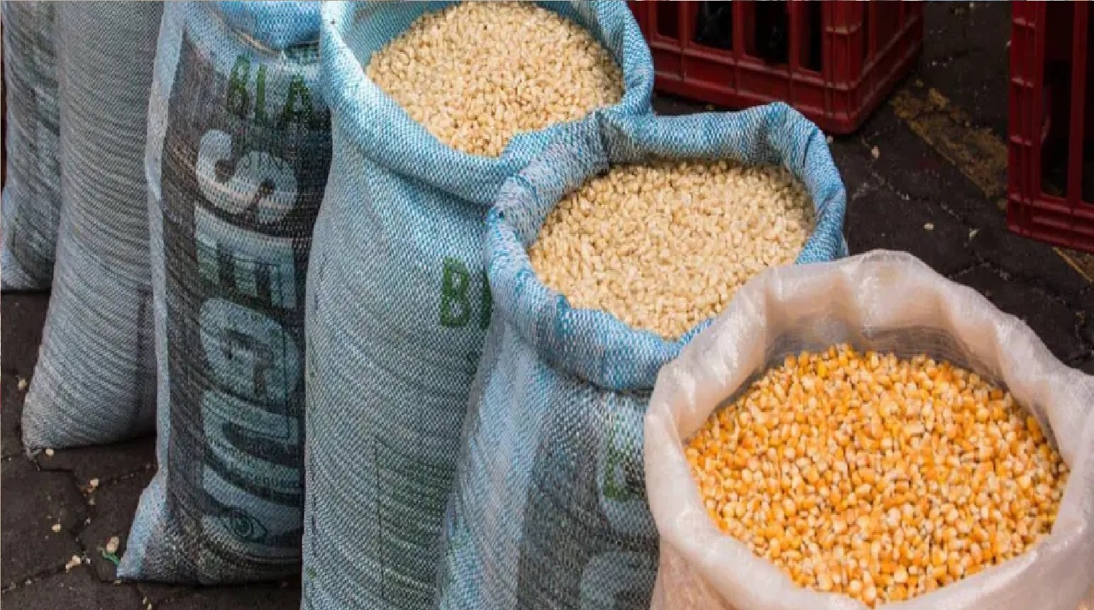 Wसचिवालय बना अनाज भंडार, मक्का के बोरे रखकर ग्रामीणों ने किया कब्जा