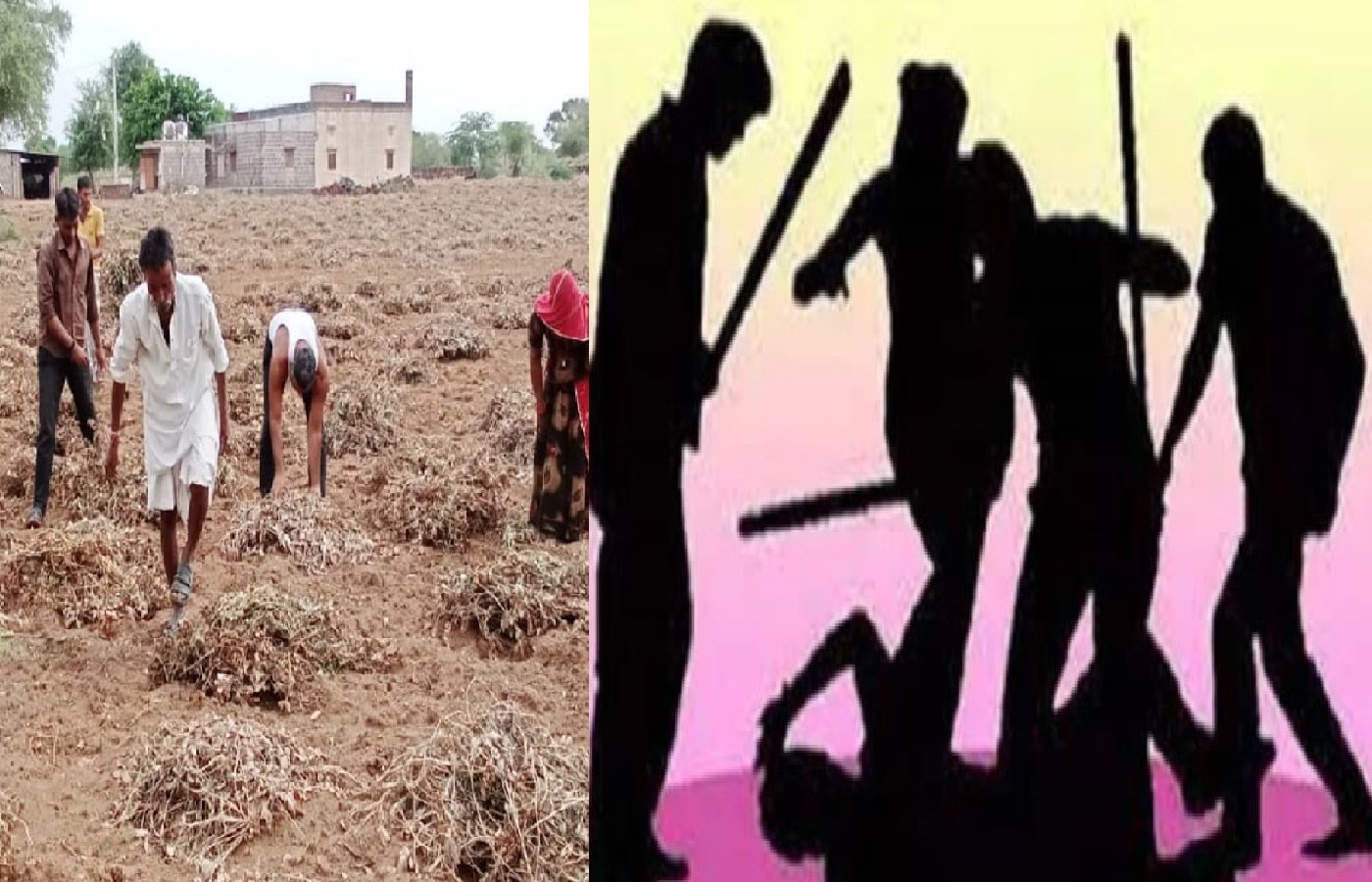 Wखेत में मूंगफली की कटाई को लेकर हुआ विवाद, लाठी-डंडों से पीटा, सिर में लगी चोट