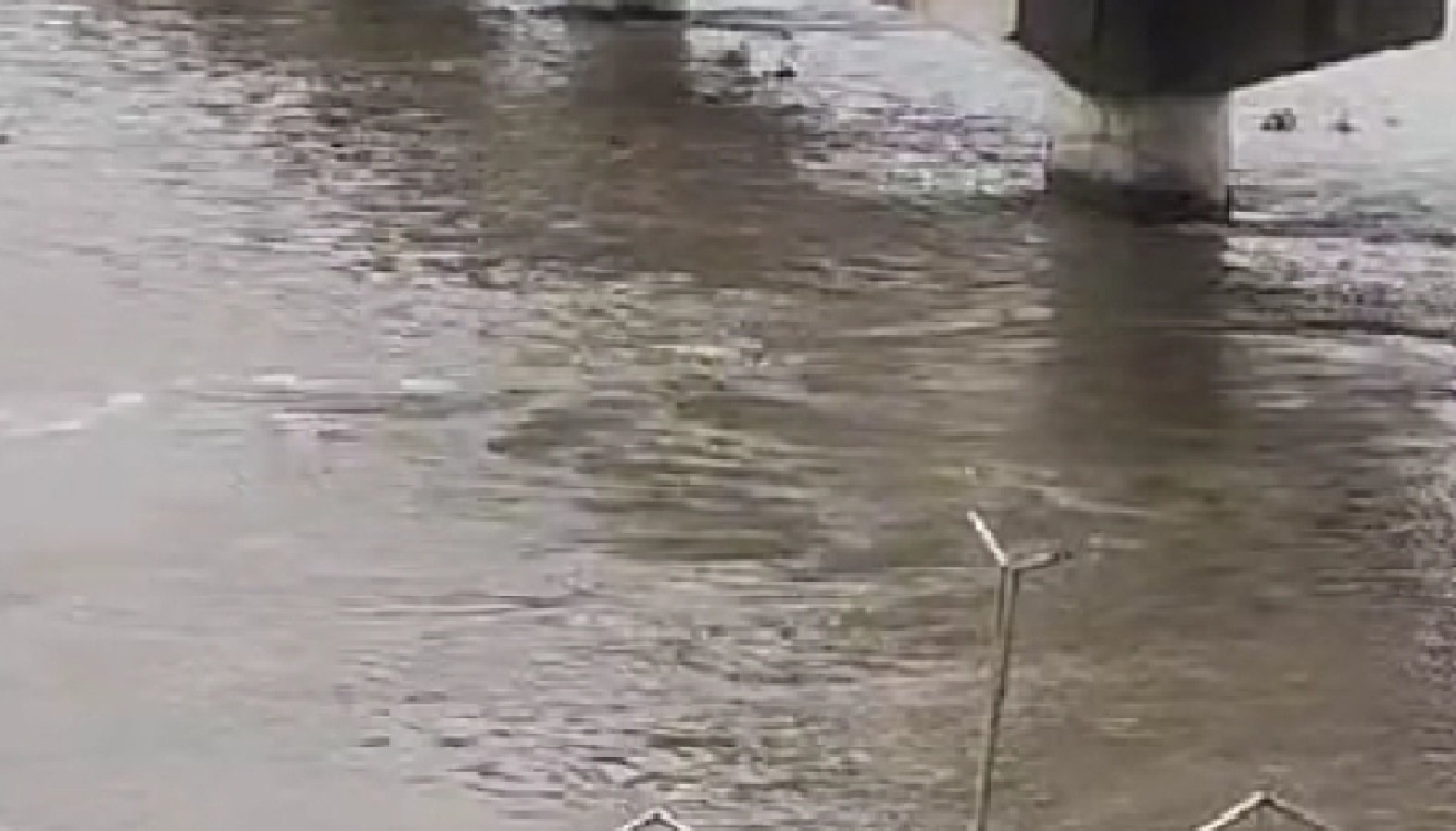 Wगंगा का जलस्तर 136 मीटर पर पहुंचा, बाढ़ का खतरा बढ़ा