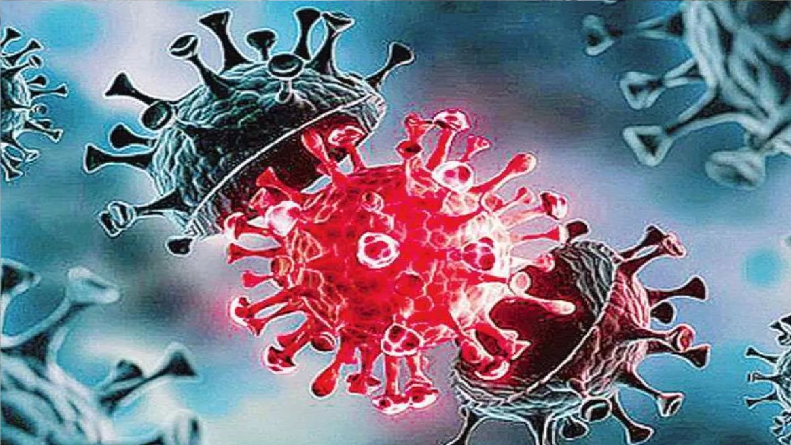 Wमहाराष्ट्र में कोरोना पकड़ रहा रफ्तार, 12 नए मरीज मिले