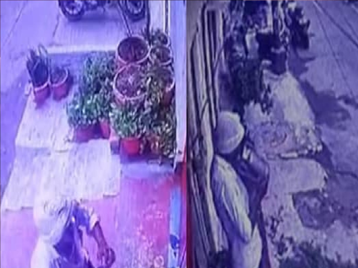 Wदूध में थूकने वाला सप्लायर गिरफ्तार, सीसीटीवी फुटेज से हुआ खुलासा