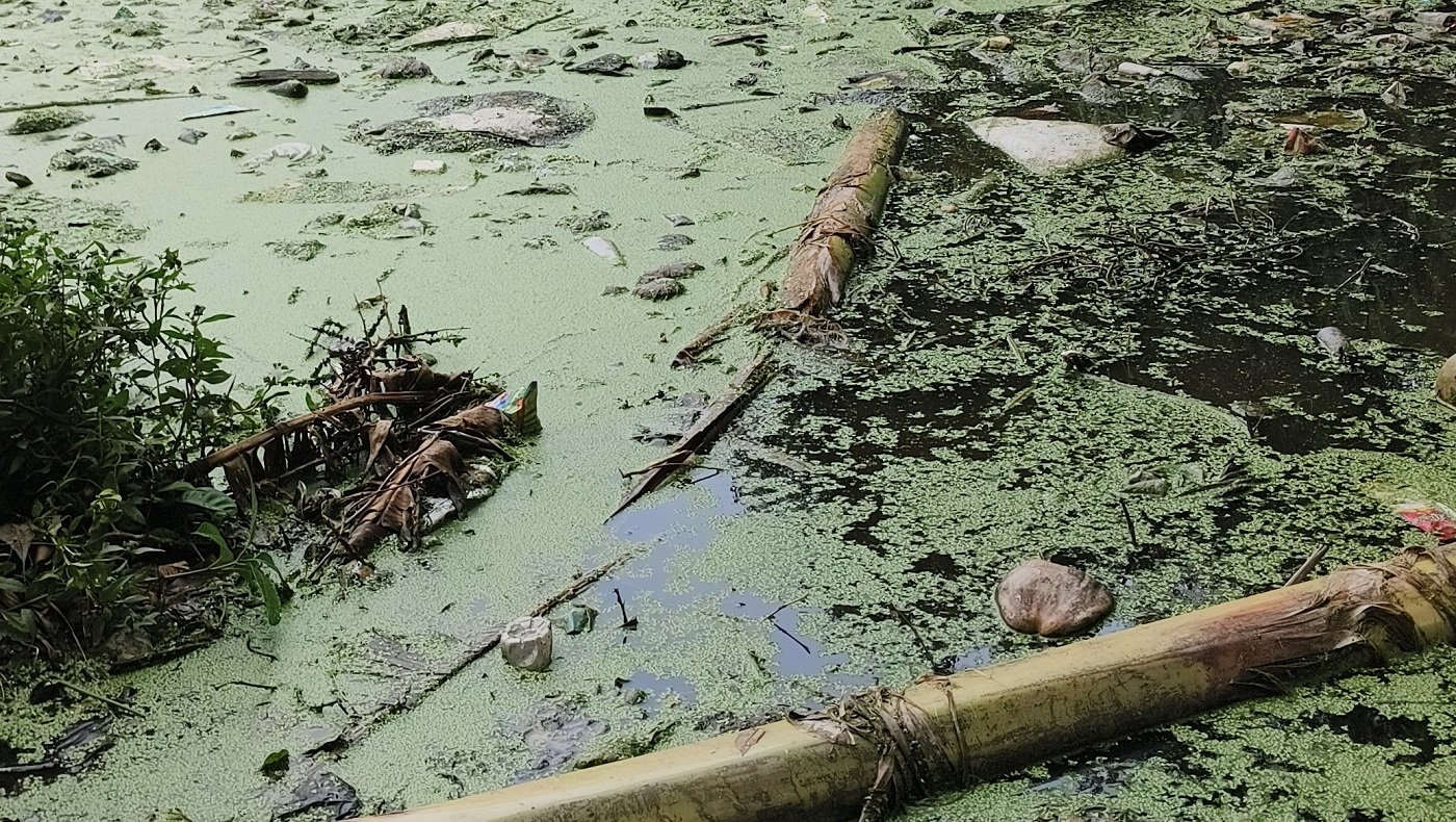 Wनाले की सफाई न होने से तालाब उफनाया, जलभराव से परेशान ग्रामीण