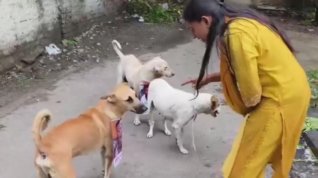 Wअनोखा विरोध प्रदर्शन: कुत्तों को समझाकर दी अभद्र टिप्पणी न करने की चेतावनी