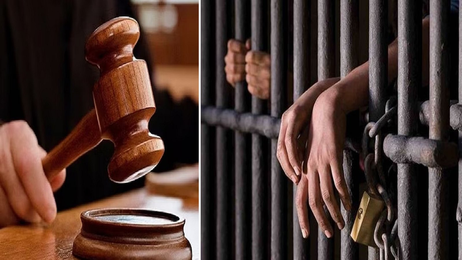 Wबड़े भाई की हत्या करने वाले छोटे भाई को आजीवन कारावास